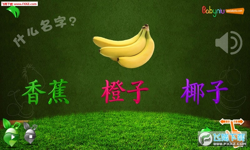 宝贝牛水果认知