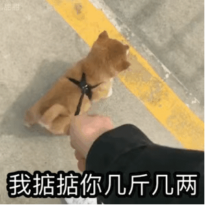 和我聊天让你不干净了表情包