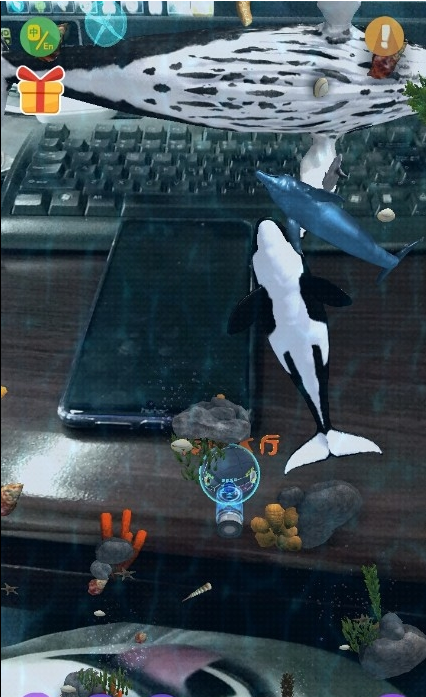 猫小智动物园AR