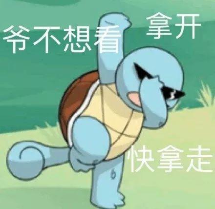 憨批军团之杰尼龟表情包