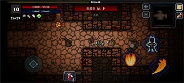 口袋盗贼终极版