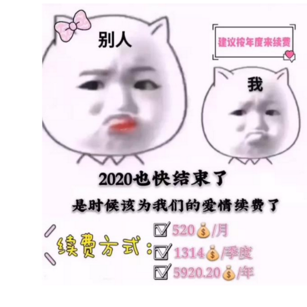 2020也快结束了表情包