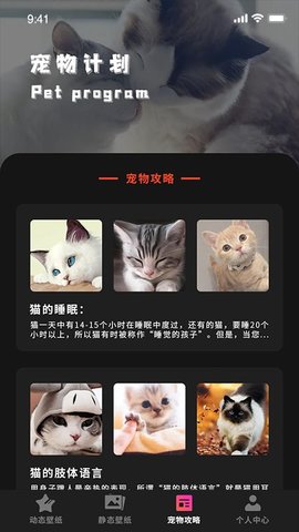 喵喵之家