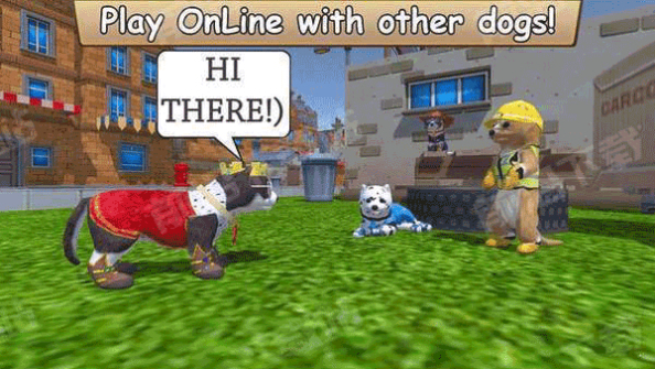 最新Zoom动物马牧场