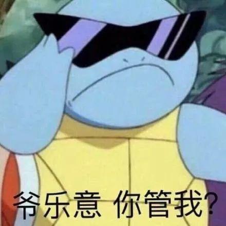 憨批军团之杰尼龟表情包