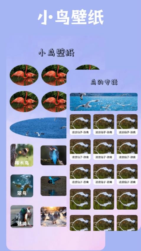 小鸟壁纸APP安卓版