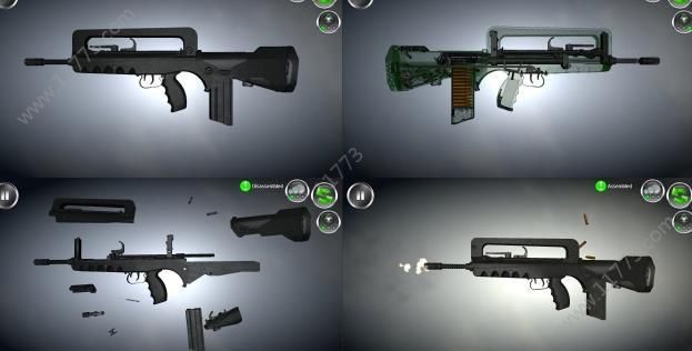 weapon field strip