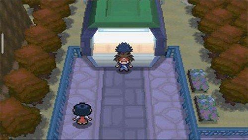 口袋妖怪超黑透2手机版