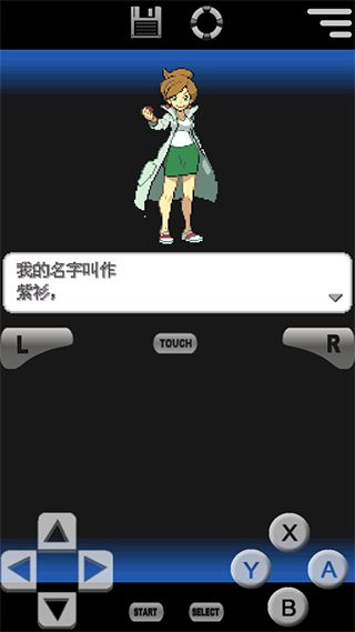 口袋妖怪黑白2中文版