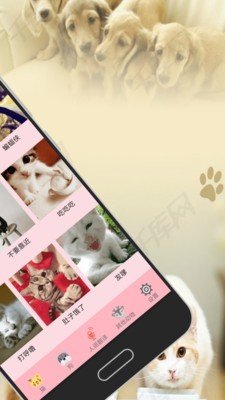 人猫狗交流器