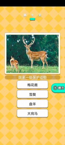 动物研究院
