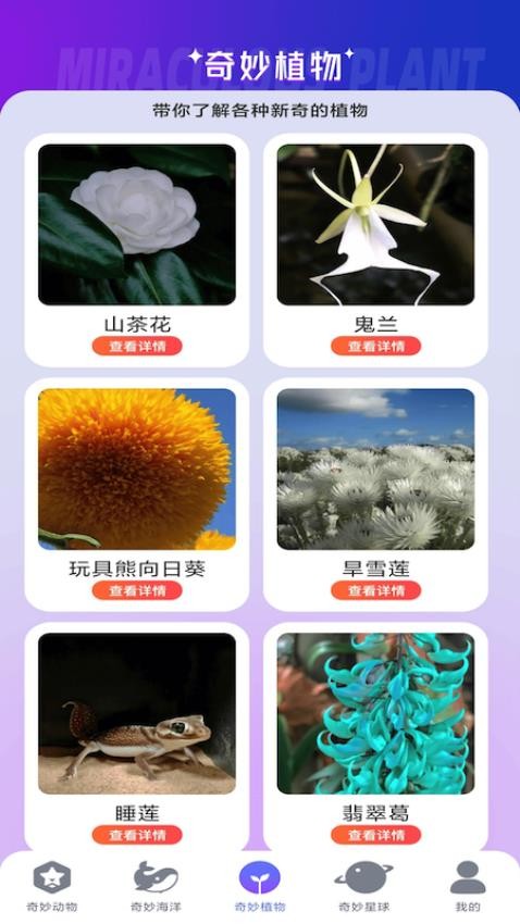 妙看多多APP最新版