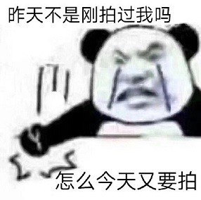 微信拍一拍表情包