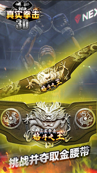 真实拳击格斗之王