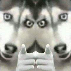 哈士奇指人表情包