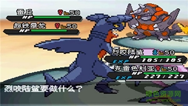 口袋妖怪超透黑2