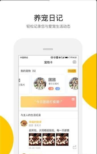 轻松宠
