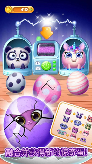 宠物狗狗养成日记