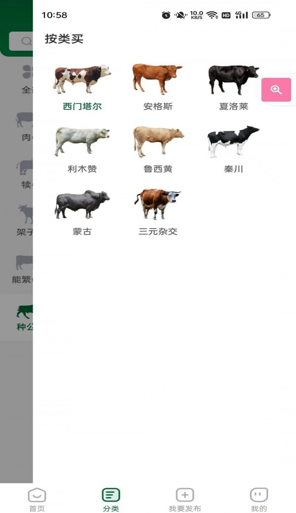 肉牛交易市场