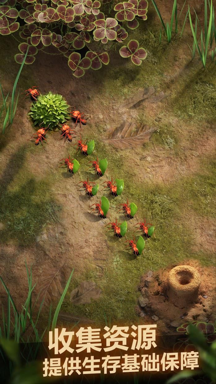 小小蚁国免广告