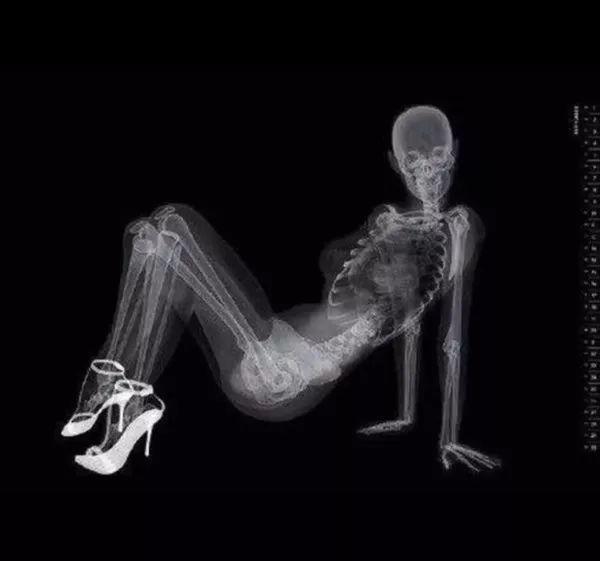 我有一张露骨照片你要看吗图库安卓版下载