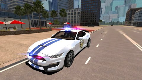 Mustang Police Car Driving 2021