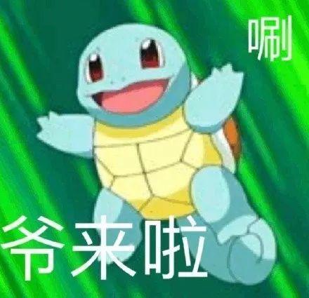 憨批军团之杰尼龟表情包