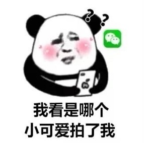 微信拍一拍表情包