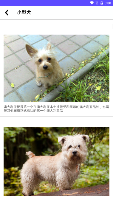 狗狗图鉴手机版
