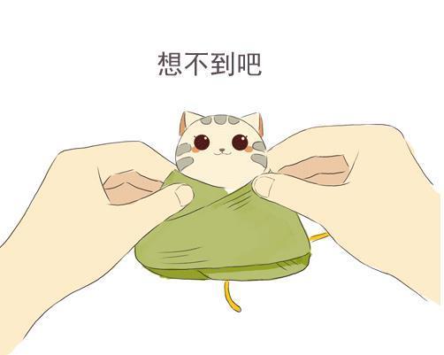 拆粽子出现小猫表情包