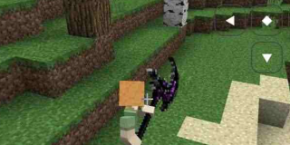 烦人的村民6.5手机版