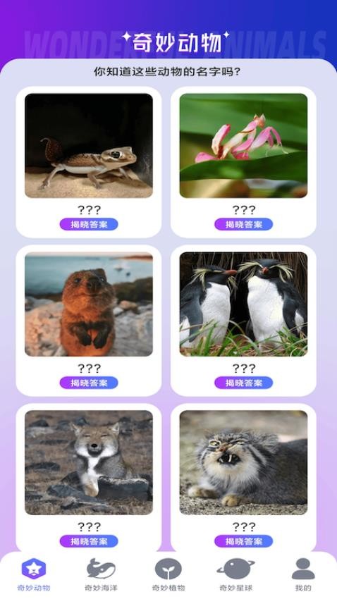 妙看多多APP最新版