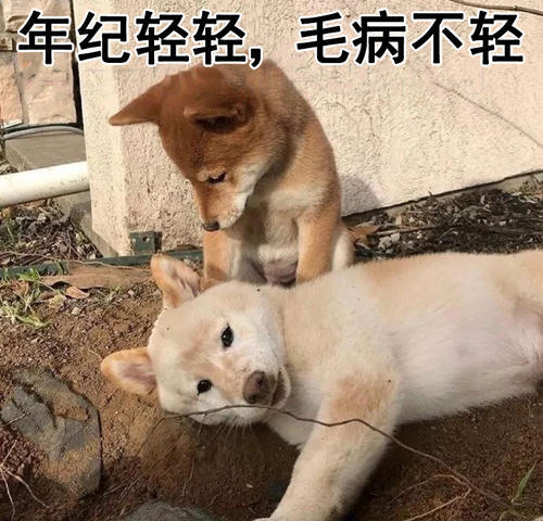 打工人表情包图片