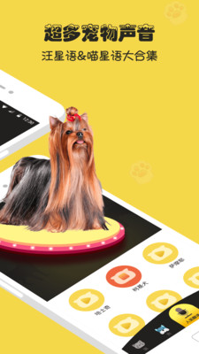 宠物猫狗交流器