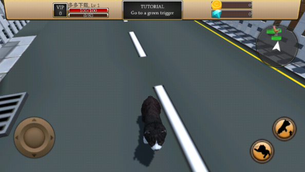 最新Zoom动物马牧场