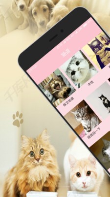 人猫狗交流器