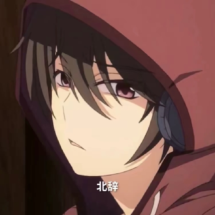 北辞弱网9.0官方版