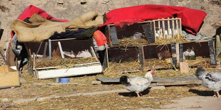 剧情丰富的冒险闯关游戏合集