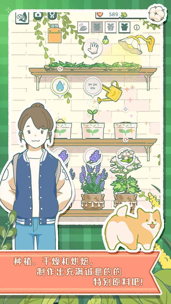 寄心茶屋无限金币版