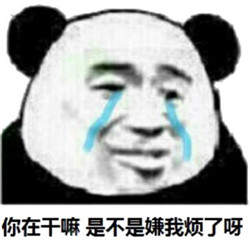 你在干什么和其他人聊天吗表情包