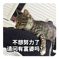 姐姐我不想努力了表情包