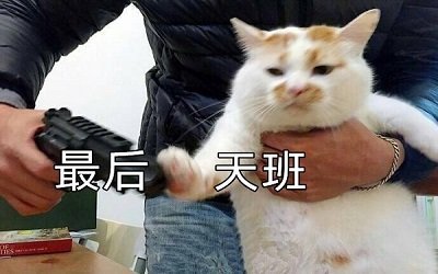 再摸5天鱼就放假了