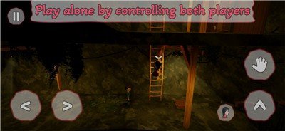 双人成行仿制版(可联机)