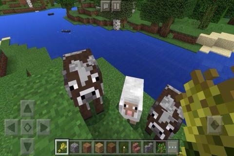 我的世界少儿编程版