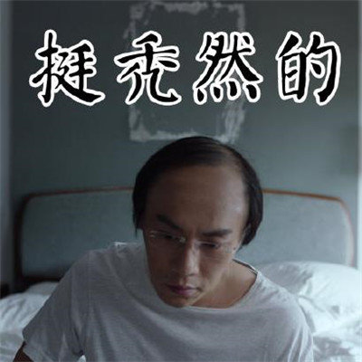 隐蔽的角落秦昊秃顶恶搞带字表情包