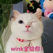 wink手势杀表情包