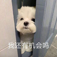 张东升你看我还有机会吗表情包