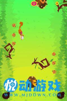花栗鼠小秋天