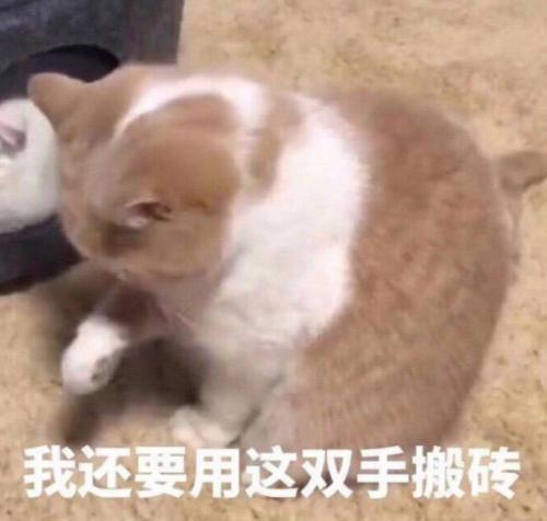 打工人表情包图片