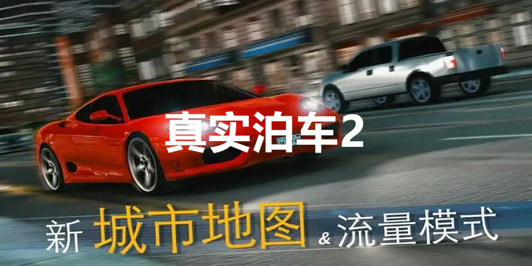 真实泊车2